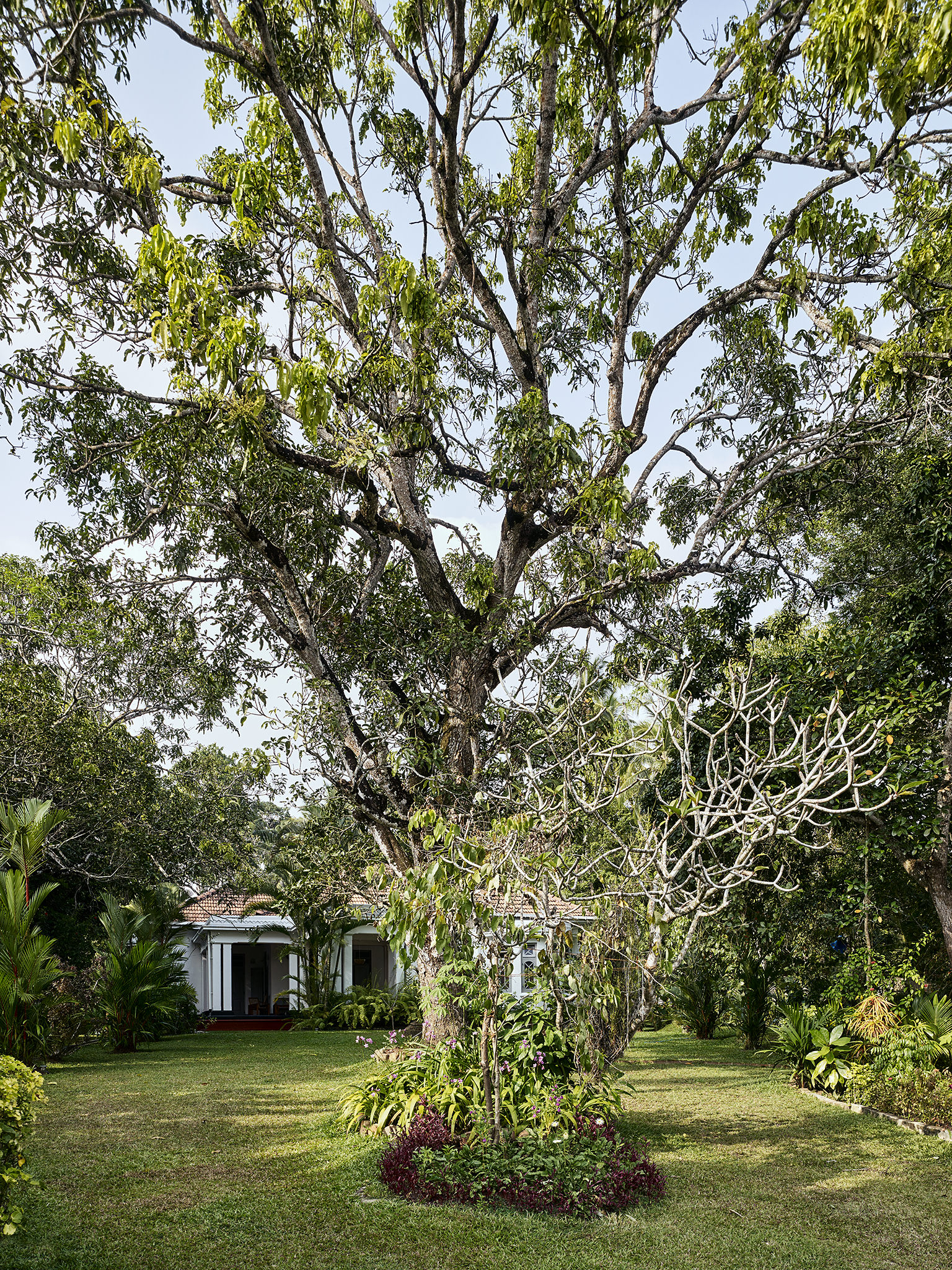 E16583 Alpa 055489 SCREEN